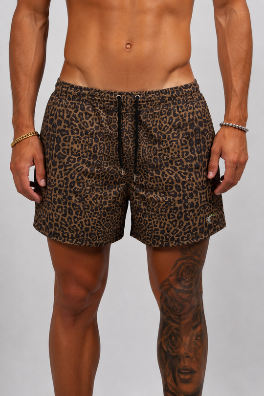 Boxer Mare Jaguar Brown