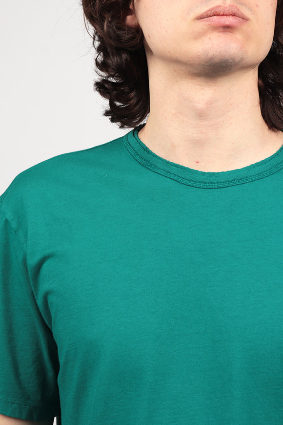  T-shirt Girocollo Grifoni Uomo Verde - 6
